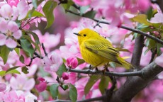 Tháng sinh Âm lịch tiết lộ người bản lĩnh và nghị lực, cuộc đời sóng gió mấy cũng đứng vững