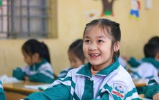 Học sinh tiểu học Việt Nam đạt điểm cao nhất lĩnh vực Toán và Đọc hiểu ở Đông Nam Á