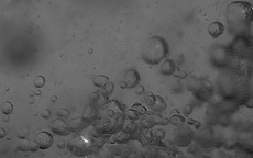 Hé lộ bí ẩn của hiện tượng "ma trơi"