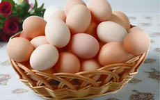 Trứng gà màu trắng và màu nâu loại nào tốt hơn?