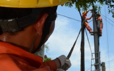 Lịch cúp điện Tây Ninh (Long An cũ) tuần này (từ ngày 9 – 14/12/2025): Hàng loạt khu dân cư nằm trong danh sách không có điện để dùng