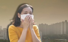 Ô nhiễm không khí có nguy cơ gây ung thư không? Đây là cách phòng ngừa