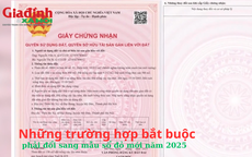 Những trường hợp bắt buộc phải đổi sang mẫu sổ đỏ mới năm 2025