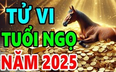 Dự báo tử vi tuổi Ngọ 2025 Ất Tỵ chi tiết từng tháng, từng tuổi