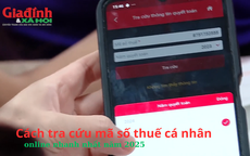 Cách tra cứu mã số thuế cá nhân online nhanh nhất năm 2025