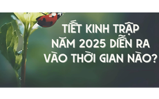 Đang vào tiết Kinh Trập mà từ xưa ông bà ta có tục 'tế thần Bạch Hổ' và 'đánh kẻ tiểu nhân': điều nên làm trong tiết Kinh Trập để may mắn, lộc tài