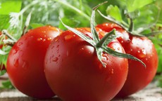 Lý do ăn cà chua giảm nguy cơ mắc một số loại ung thư