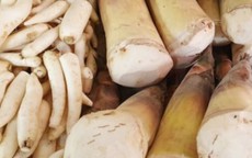 Cách loại bỏ độc tố trong măng tươi hiệu quả nhất