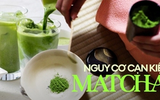 Hàng triệu tín đồ matcha sốc khi biết lý do 'bột trà xanh' dần cạn kiệt, có 1 nguyên nhân nhiều người không ngờ tới