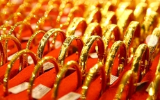 Tin sáng 16/4: Vàng miếng SJC và vàng nhẫn biến động bất ngờ; đàn voi rừng xuất hiện ở khu dân cư Đồng Nai
