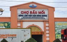 Xử phạt hơn 200 triệu đồng doanh nghiệp gây ô nhiễm môi trường