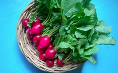 Loại củ chứa chất chống oxy hóa cao, giúp đẹp da, chống lão hóa