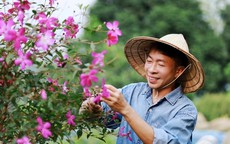 Việt Hoàn U60 hạnh phúc sau ly hôn vợ kém 18 tuổi, phủ nhận là đại gia bất động sản
