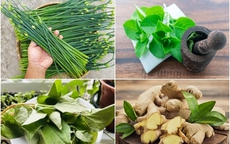 Bài thuốc chữa viêm họng từ cây cỏ quanh nhà