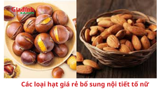 Các loại hạt giá rẻ bổ sung nội tiết tố nữ