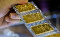 Giá vàng hôm nay 25/4: Vàng SJC, vàng nhẫn Bảo Tín Minh Châu, PNJ tiếp tục tăng cao, sẽ sớm quay lại mốc 124 triệu đồng/lượng?