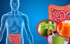 Lợi ích của chế độ ăn uống cân bằng với sức khỏe đường ruột