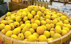 Loại quả vừa thơm vừa bổ vào mùa bán đầy chợ với giá rẻ bèo