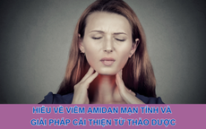 Hiểu về viêm amidan mạn tính và giải pháp cải thiện từ thảo dược