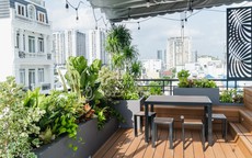 Trồng cây ban công: Chọn cây theo hướng nhà và các lưu ý