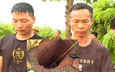 Xử lý nghiêm hành vi xâm hại lăng mộ vua Lê Túc Tông