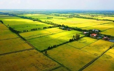 Những thông tin về mức xử phạt các hành vi vi phạm đất đai theo quy định mới nhất