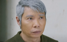 Vai phụ của NSND Công Lý