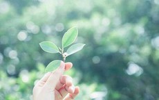Phụ nữ cô đơn quá lâu thường có 3 đặc điểm này