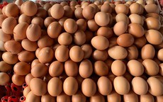 Một quốc gia Đông Nam Á bỏ cả trợ cấp giá trứng gà, thả nổi theo thị trường