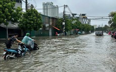 Tin sáng 21/5: Miền Bắc sắp hứng đợt mưa lớn, nguy cơ lũ quét, ngập lụt; Phát hiện hai loài nấm phát quang kỳ bí tại Vườn quốc gia Bái Tử Long