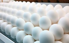Những lợi ích của ăn trứng vịt vào mùa hè