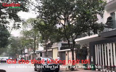 Giá cho thuê không ngờ tới của nhiều căn biệt thự tại Nam Từ Liêm, Hà Nội