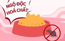 Cảnh giác trước nguy cơ ngộ độc thuốc và hóa chất ở trẻ em