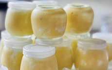 Cho thêm nguyên liệu này vào khi làm sữa chua: Thành phẩm vừa mịn mướt, dẻo thơm, úp ngược cũng không rơi!