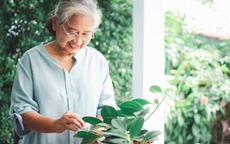"Tôi không để tuổi già là những ngày đợi con cháu": Hành trình sống khác biệt của người phụ nữ U70 có 2 con trai