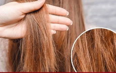 Nhuộm tóc màu gì không sợ phai thành màu vàng?
