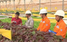 Lịch cúp điện Cần Thơ từ ngày 5 - 11/5/2025: Nhiều khách hàng nằm trong diện cúp điện liên tục