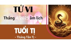Con giáp tuổi Tỵ tháng 4 âm lịch Ất Tỵ 2025
