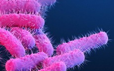 Không chủ quan với viêm âm đạo do vi khuẩn