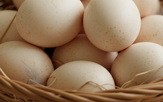 Người mắc bệnh tim có nên ăn trứng?