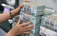 5 cung hoàng đạo phú quý đến muộn, hậu vận tiền bạc mới đổ về như thác
