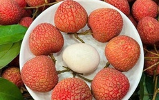 Xuất hiện loại vải VIP gây ‘sốt’ thị trường trái cây Việt, giá cao ‘chót vót’ vẫn được săn đón đến cháy hàng