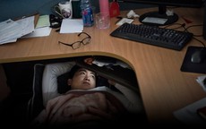 Làm người không muốn, chỉ muốn thành "người chuột": Cuộc đời này bạc lắm, cố gắng để làm gì?