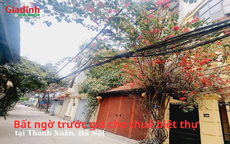 Bất ngờ trước giá cho thuê biệt thự tại Thanh Xuân, Hà Nội