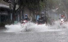 Tin sáng 26/6: Miền Bắc đón mưa lớn kéo dài; Từ 1/7, vợ sinh con, chồng được nghỉ bao nhiêu ngày?