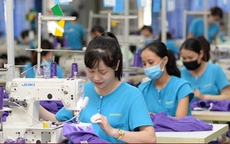 Đóng bảo hiểm xã hội tự nguyện trước 2021 sẽ được nghỉ hưu sớm 2-5 năm