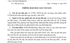 Cần minh bạch trong đấu giá tài sản vật tư thiết bị có chứa chất thải nguy hại của các Công ty điện lực