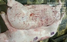 Vụ Công ty C.P. Việt Nam bị 'tố' sử dụng lợn bệnh: Hà Nội tăng cường kiểm soát 2 cơ sở giết mổ của C.P. tại KCN Phú Nghĩa