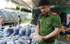 Quyết liệt triệt phá hàng giả, thực phẩm bẩn để bảo vệ người tiêu dùng