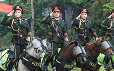 Ngắm dàn chiến mã tinh nhuệ tập luyện cho lễ diễu binh 2/9